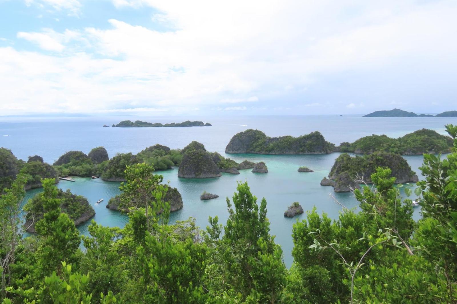 Besir Nyanse Homestay - Raja Ampat מראה חיצוני תמונה