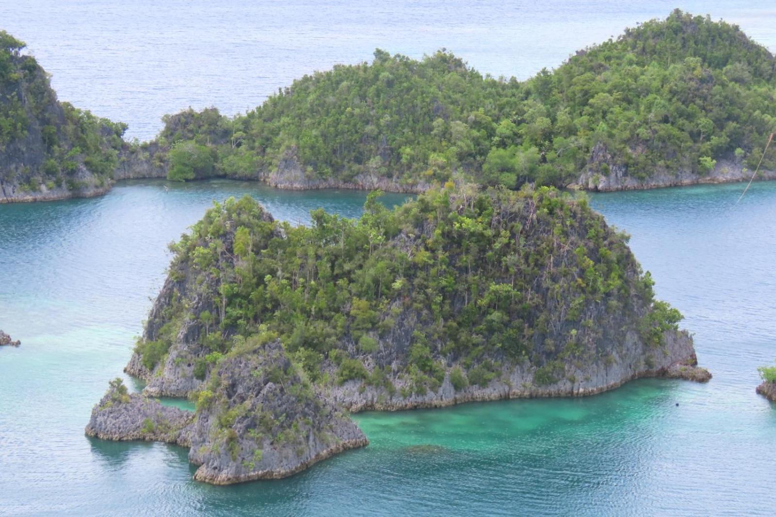 Besir Nyanse Homestay - Raja Ampat מראה חיצוני תמונה