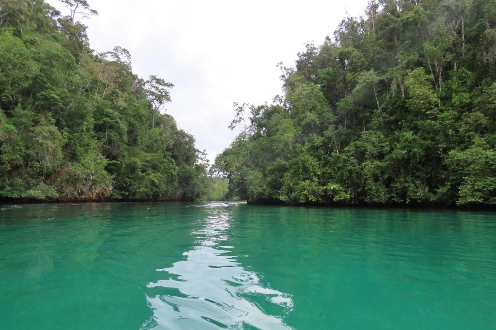 Besir Nyanse Homestay - Raja Ampat מראה חיצוני תמונה