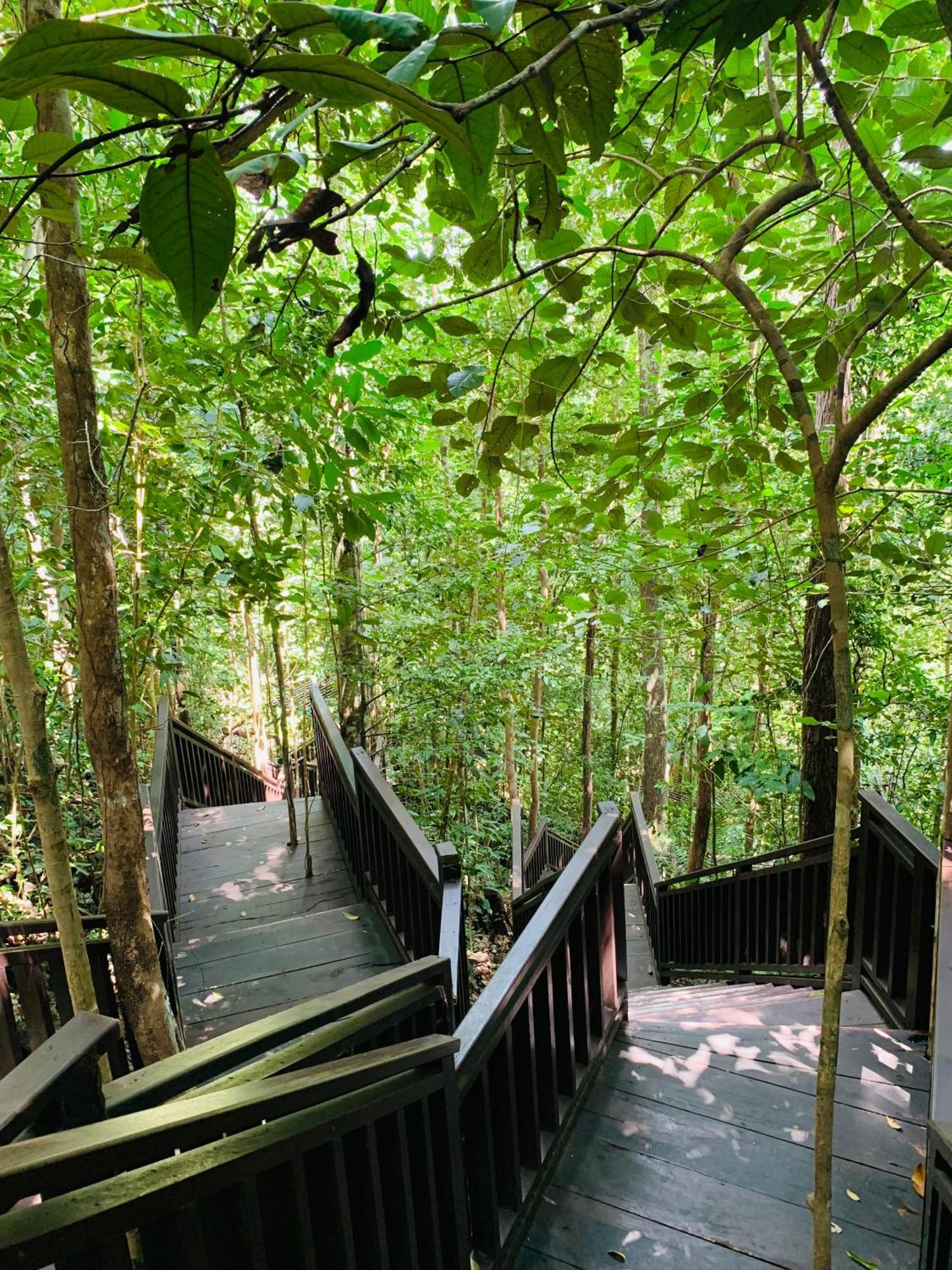Besir Nyanse Homestay - Raja Ampat מראה חיצוני תמונה