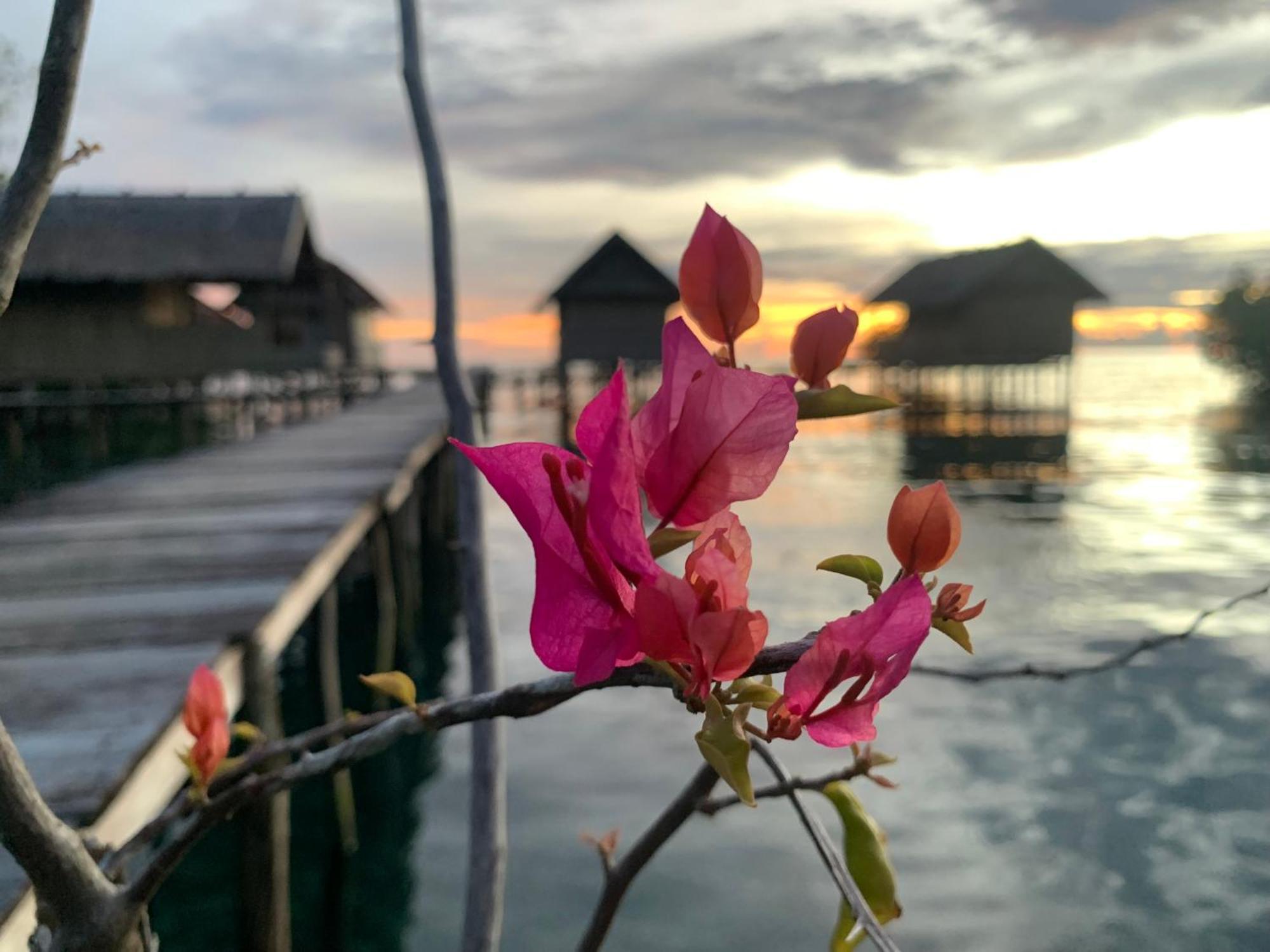 Besir Nyanse Homestay - Raja Ampat מראה חיצוני תמונה